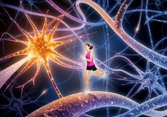Dr. Dimitar Pashkulev on the "Wings" of the Immune System