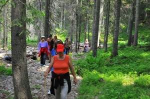 Exercise And Health