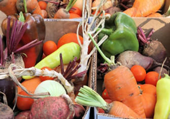 Fall Vegetables and Their Healing Properties