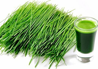 Green Super foods to boost immunity in the winter