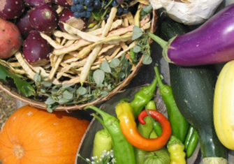Vegetables for Health